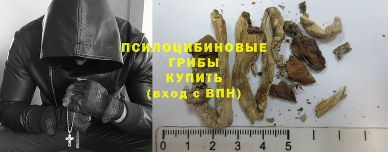 Галлюциногенные грибы Magic Shrooms  магазин    Гулькевичи 